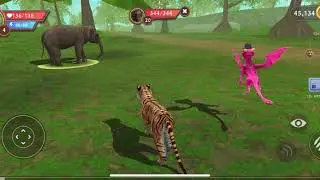 Playing with my new tiger update