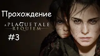 A Plague Tale Requiem - Прохождение - #3