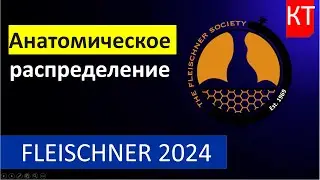 Глоссарий Флейшнеровского общества 2024 - Часть 2 Анатомическое распределение