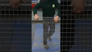 Mechaniczna Trzepaczka do dywanów Protima #shorts