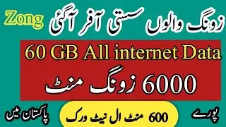 zong call package/zong weekly call package/zong internet package/zameer 91 channel