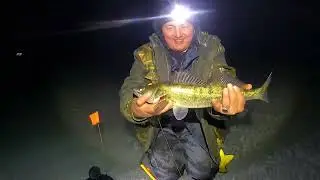 CLOSING OF THE WINTER SEASON. PIKE FISHING FEED. Lake Osek (Usyok).