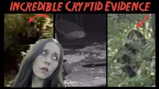 STRANGE BEINGS & HAPPENINGS CAUGHT ON CAMERA (reupload new clips added)
