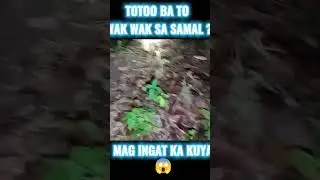 wakwak sa samal