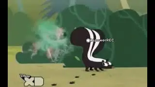 kid vs cat skunk spray
