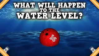 The 