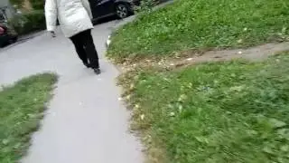 25 сентября 2016 г.
