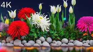 World's Most Beautiful FLOWERS 4K ULTRA HD | Sleep Relax Music