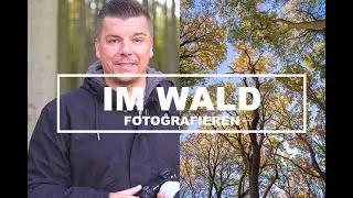 📷 4 Tipps zum fotografieren im Wald 🌲 Maik Herfurth | fotografieren lernen