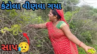 કંટોલા વીણવા ગયા 🐍હોય | Kantola 🥦🥕🌽 went to weed 🐍 | village life | vlog5 | Gujarati family👪 vlogs