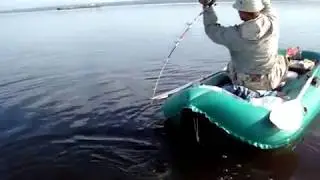 Сом , квок, приколы вытаскивания...1я серия.