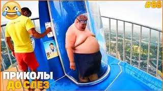 ПРИКОЛЫ ДО СЛЕЗ #88 | ПРИКОЛЫ ОКТЯБРЬ 2022 / 10 МИНУТ СМЕХА ДО СЛЁЗ / угар / tik tok / тик ток