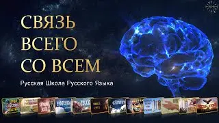 🔵 Прямой эфир. Связь всего со всем. Уроки с 43 по 57. Русская Школа Русского Языка.