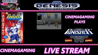 THE PUNISHER (SEGA GENESIS)