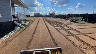 Устройство газона на территории, подготовленной осенью 2022 года