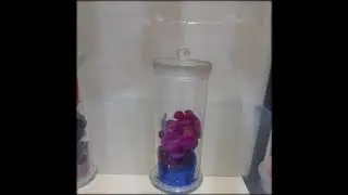 Музей лекарственного сырья в Янтае, Китай.