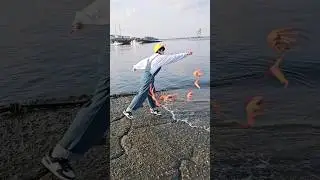 바다로 다시 데려다줄게🦀🤣I'll take you to the sea #funny #shorts