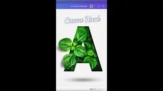 Canva Design Tutorial