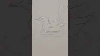 تعلم رسم البطه خطوه ب خطوه مع طريقه دمج الألوان 🦢🦢