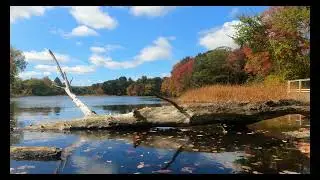 Ashland Fall Scene 2024 (4K)