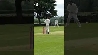PICK YOUR PULL! #cricket #cricketlover #villagecricket #foryou #cricketfans #t20 #pull #pullshot