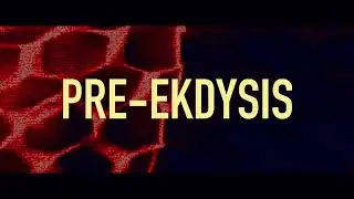 PIAGA - PRE EKDYSIS (prod. Jxnny)