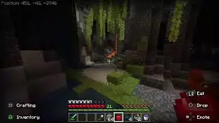 Crafter and disaster