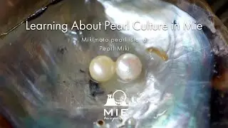 Learning About Pearl Culture in Mie - Mikimoto pearl island / Pearl Miki