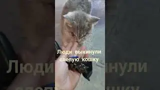 Приют Ушастая няня