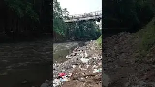 Kehidupan Didalam Pemukiman Balekambang Condet Jakarta Indonesia