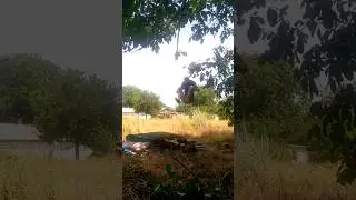 double front flip on grass 🔥 almost #shorts