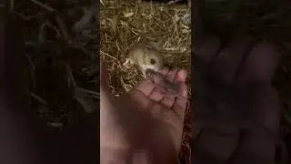 Welcome to the world little one 💕 