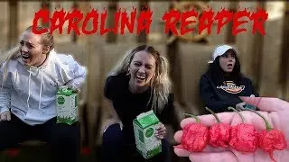 CAROLINA REAPER PEPPER CHALLENGE vs 3 GIRLS *starts crying*