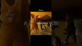 КВ или ДС🤔