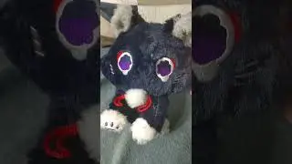 ЭТО КОТ