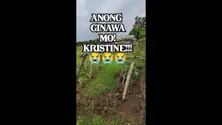 Pananalasa ng Bagyong KRISTINE!
