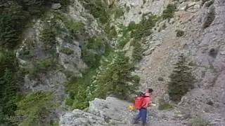 M0020499.AVI