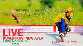 #7 KUALIFIKASI sabtu NEW AYLA LAPAK SABDO PALON   #wbpmediatv #JKK1milyar