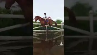 Star Stable Role Play Tik Toks