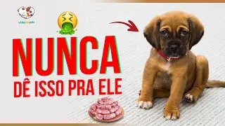 8 alimentos PERIGOSOS que seu cão NUNCA DEVE COMER😖🚫