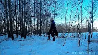 Вот и выбрались в лес. С разведкой по угодьям.  With reconnaissance on the grounds.