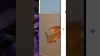 lol