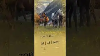 Сүндет тойға шақыру 🐎 Тапсырыс беру үшін 87788181993👋