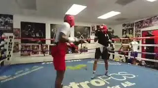 ☎️Shakur Stevenson Vs Kevin Johnson Sparring LEAKED “Slow Boring A** Fighter”😱