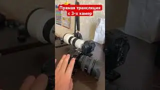 Прямая трансляция с 3-х камер #свадьба
