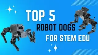 Top 5 Robot Dogs for STEM Education