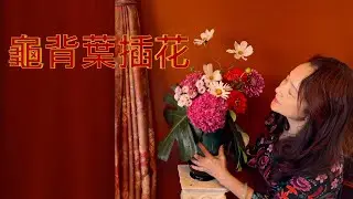 龜背葉插花（一）｜ 怎樣用龜背葉插花