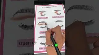 Let's create a variety of eye makeup looks! #makeupbrushes #makeup