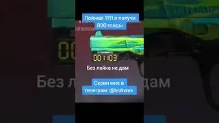 19 августа 2024 г.