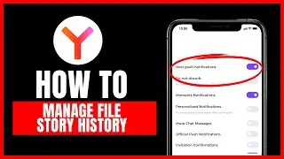 How to manage file story history on Yandex Browser